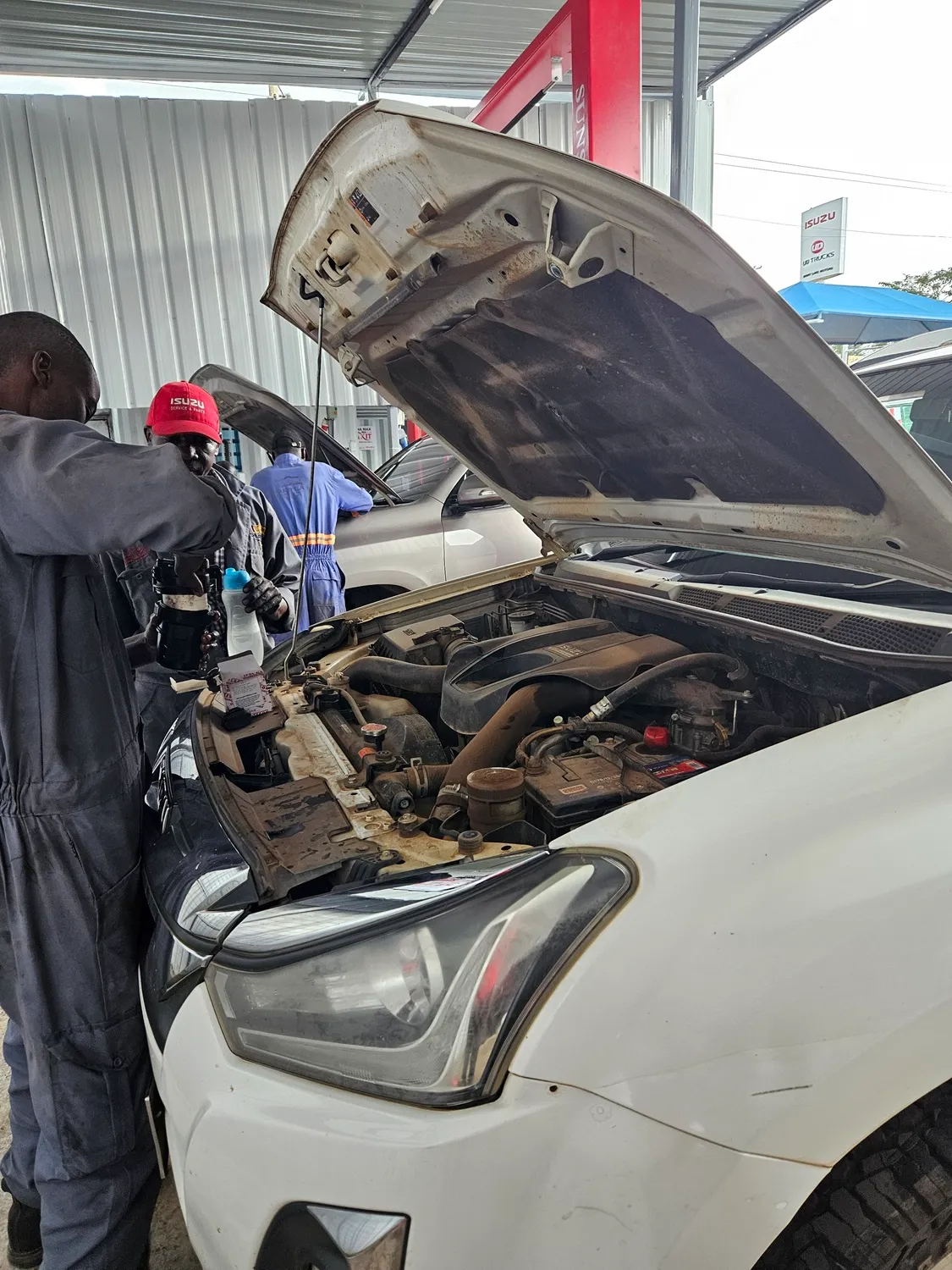 Engine & Cooling